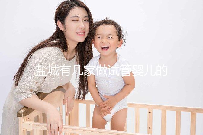 鹽城有幾家做試管嬰兒的醫(yī)院? 還有成功率、費(fèi)用都在這