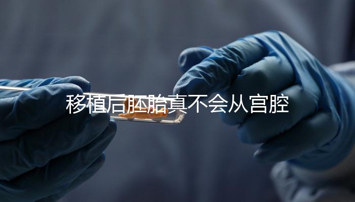 移植后胚胎真不會(huì)從宮腔掉出來!原因有這些...