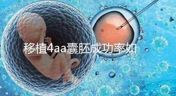 移植4aa囊胚成功率如何？細說質量等級讓你助孕更安心