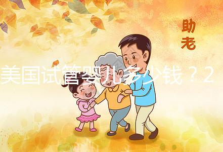 美國試管嬰兒多少錢？2025年新費用明細及省錢攻略