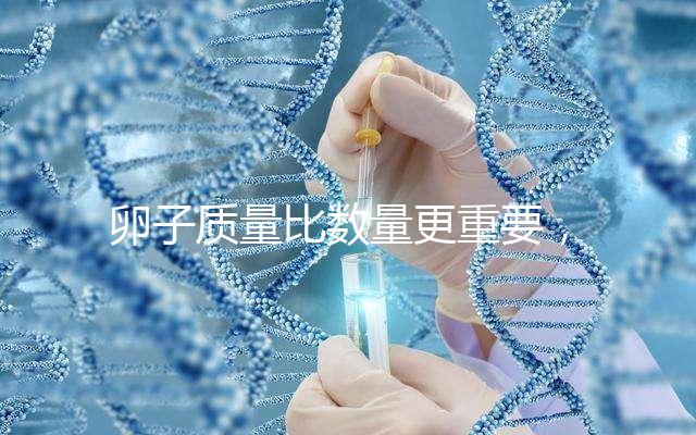 卵子質量比數量更重要，9個卵泡生男孩也很難