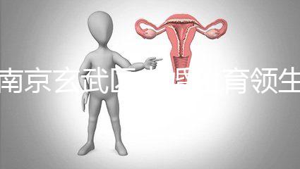 南京玄武區未婚生育領生育金看條件，社會撫養費交不了多少