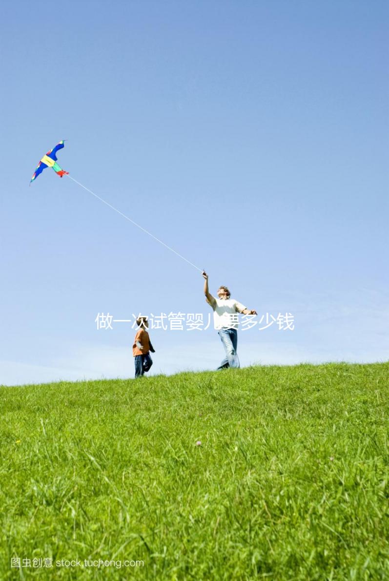 做一次試管嬰兒要多少錢？