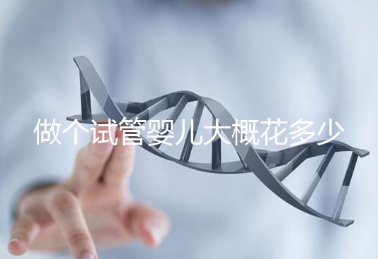 做個(gè)試管嬰兒大概花多少錢（做個(gè)試管嬰兒得花多少錢）