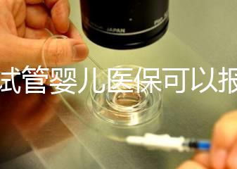 做試管嬰兒醫(yī)保可以報銷嗎(在武漢做試管嬰兒醫(yī)保可以報銷嗎)