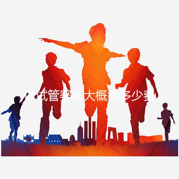 做試管嬰兒大概需多少費(fèi)用