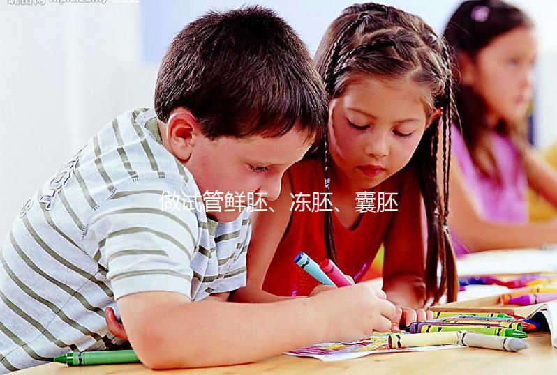 做試管鮮胚、凍胚、囊胚有什么區別？移植哪種成功率更高？