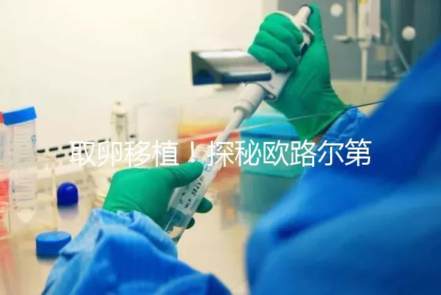 取卵移植！探秘歐路爾第三代試管嬰兒的流程