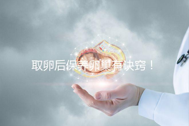 取卵后保養卵巢有訣竅！7種方法助你快速恢復