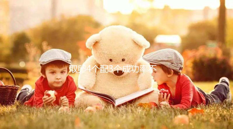 取卵4個(gè)配3個(gè)成功率不低,養(yǎng)出優(yōu)質(zhì)胚胎做試管好孕機(jī)會更大