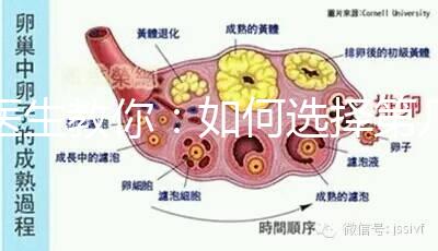 醫生教你：如何選擇第幾代試管嬰兒？看完再選
