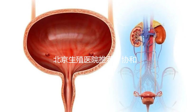 北京生殖醫院推薦！協和、北醫三院等三甲醫院介紹
