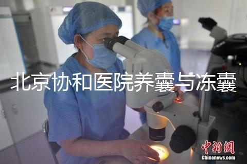 北京協(xié)和醫(yī)院養(yǎng)囊與凍囊費用參考，做好這4點成功率上漲