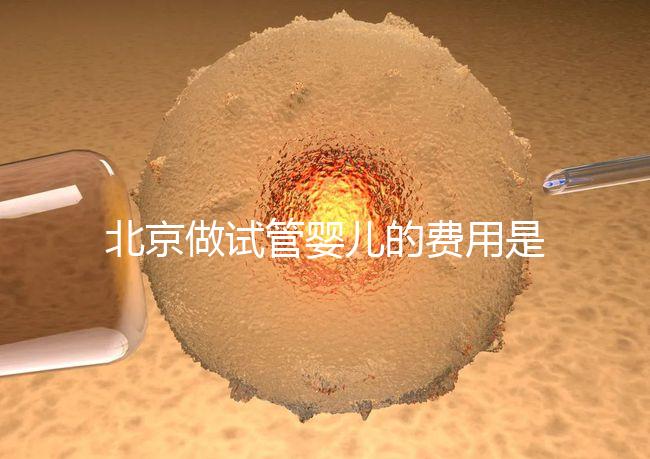 北京做試管嬰兒的費(fèi)用是多少錢？詳細(xì)流程是怎樣的？