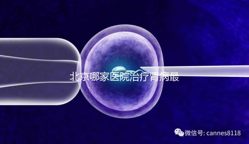 北京哪家醫院治療腎病最好（北京哪家醫院治療腎病最好？）