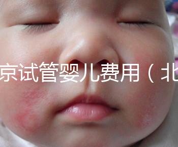 北京試管嬰兒費(fèi)用（北京試管嬰兒費(fèi)用大概要多少錢）