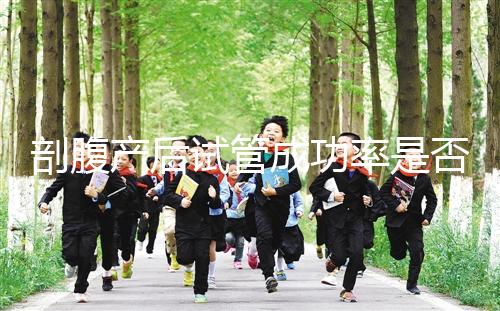 剖腹產(chǎn)后試管成功率是否很低？適當(dāng)?shù)恼{(diào)理影響真的很小