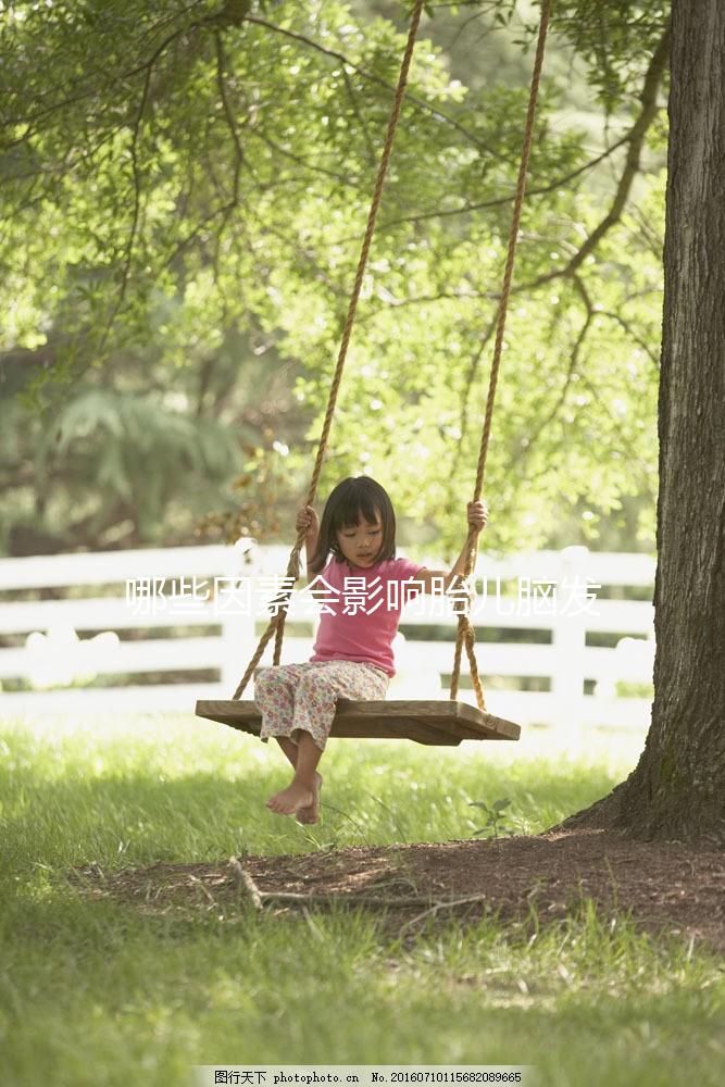 哪些因素會影響胎兒腦發育呢？聽聽孫麗洲教授怎么說