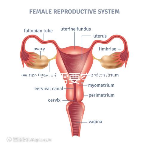唐氏篩查需要空腹嗎，無(wú)錫醫(yī)院?jiǎn)雾?xiàng)費(fèi)用最低一百八十五