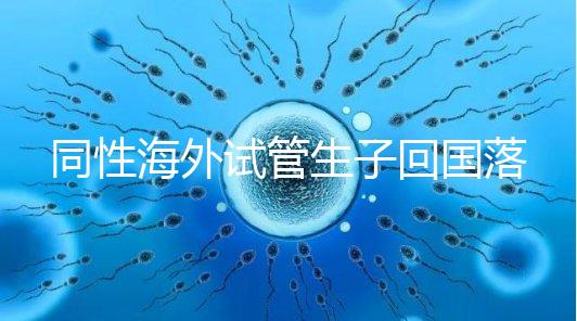 同性海外試管生子回國落戶講方法，男同上戶過程更復(fù)雜