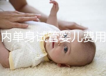 國內單身試管嬰兒費用大概要多少錢一次？附費用明細！