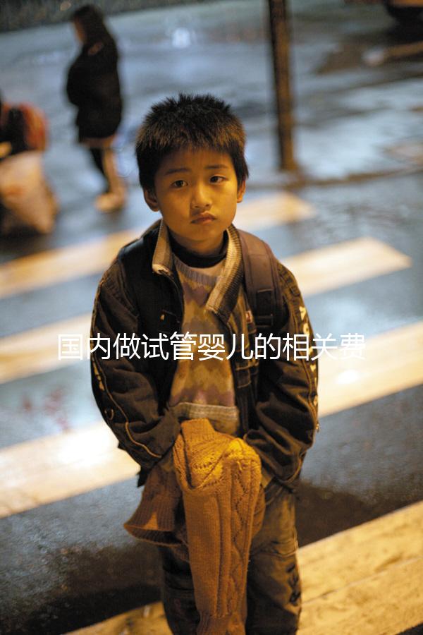 國內(nèi)做試管嬰兒的相關(guān)費用、條件、指征