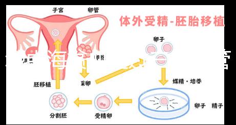 地中海貧血通過三代試管嬰兒真的可以生出健康的孩子嗎？