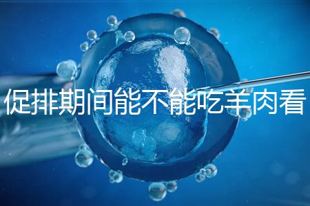 促排期間能不能吃羊肉看做法，不造火鍋、燒烤怎么吃好看這