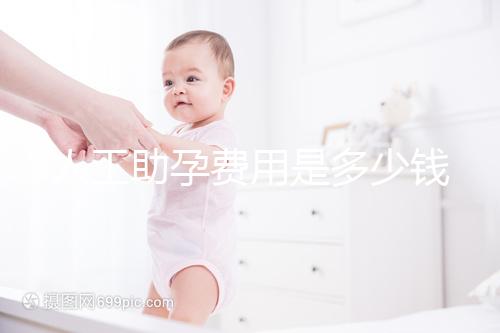 人工助孕費用是多少錢