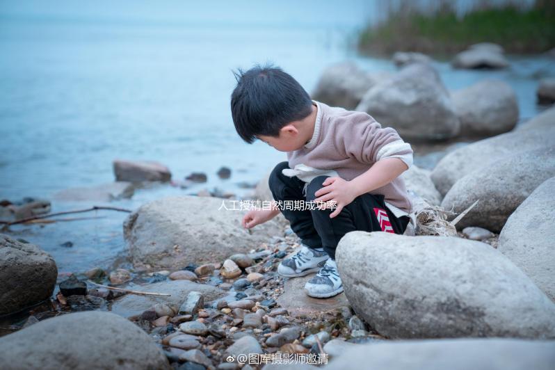 人工授精自然周期成功率有多少？這3種情況妊娠率超低