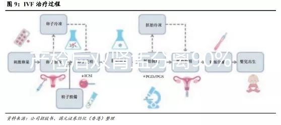 產檢后雙腎盂分離90%是男孩，或為孕期性別鑒定新高度