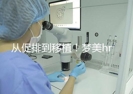 從促排到移植！夢美hrc試管嬰兒流程共7步