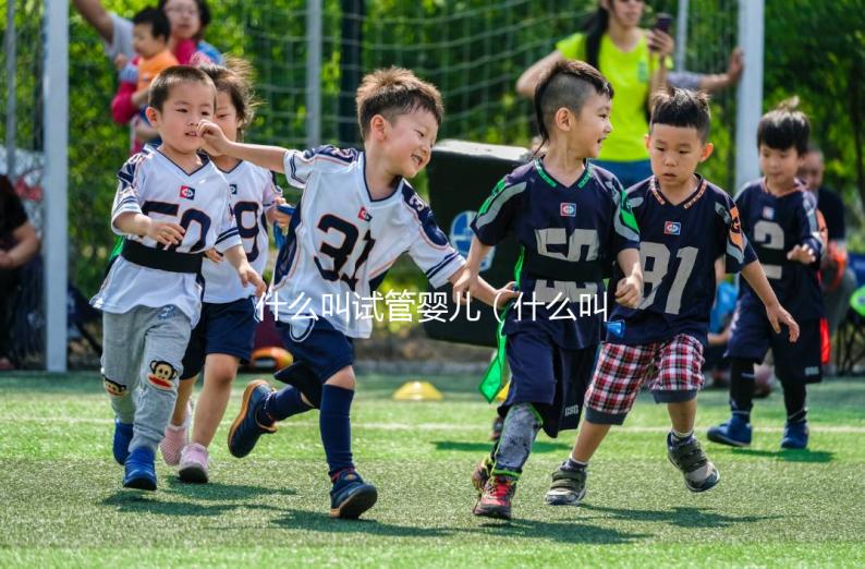 什么叫試管嬰兒(什么叫試管嬰兒是親生孩子嗎)