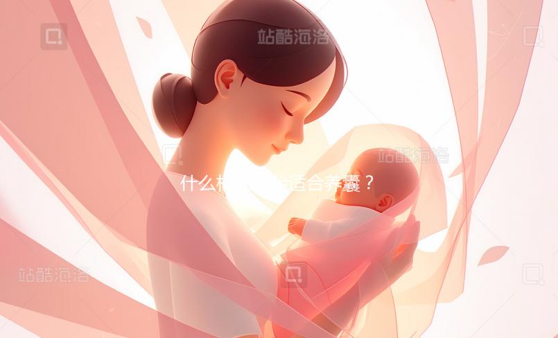 什么樣的胚胎適合養囊？質量越好養囊成功率越高