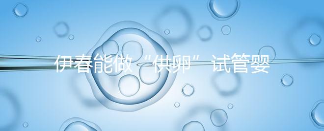 伊春能做“供卵”試管嬰兒嗎？你們想知道的答案在這里