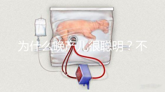 為什么晚產兒很聰明？不要被智商比同齡人高誤導