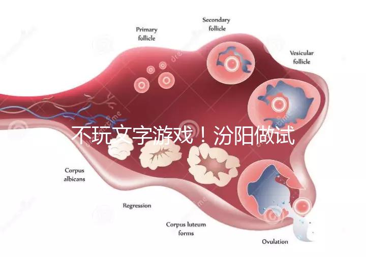 不玩文字游戲！汾陽做試管嬰兒成功率和費用一覽