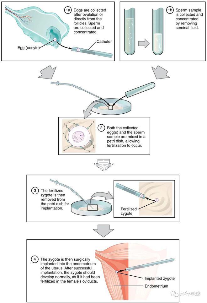不知?dú)J州哪家男科醫(yī)院好戳，機(jī)構(gòu)能不能一目了然
