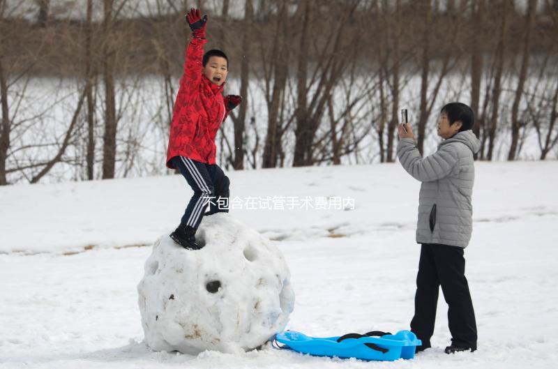 不包含在試管手術費用內(nèi)!單雙腔取卵針價格自費