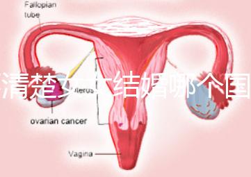 不清楚女女結(jié)婚哪個國家能領證來看,歐洲這些地區(qū)都可