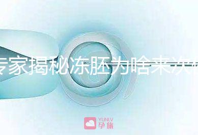 專(zhuān)家揭秘凍胚為啥來(lái)次例假才可以移植，第幾天手術(shù)有講究