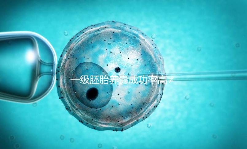 一級胚胎養囊成功率高≠零失敗，染色體異常是主要原因