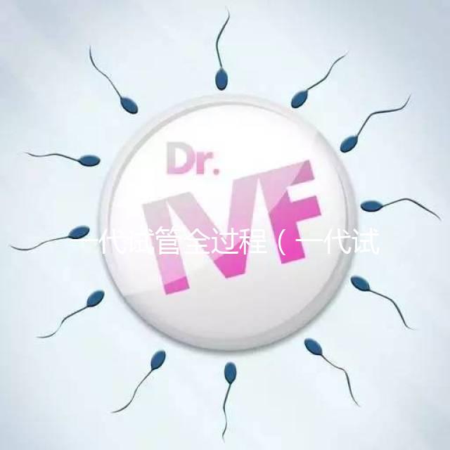 一代試管全過程（一代試管全過程圖解）