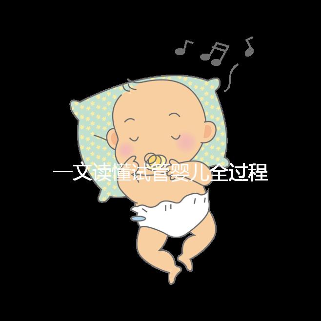 一文讀懂試管嬰兒全過(guò)程