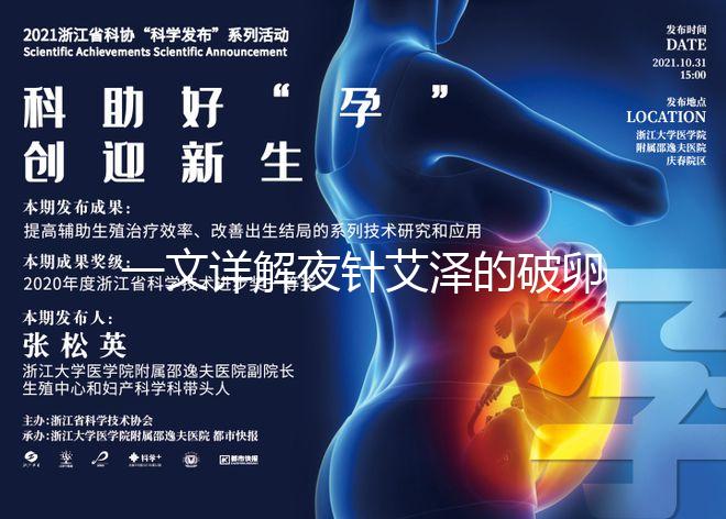 一文詳解夜針艾澤的破卵成功率，60s弄清跟絨促誰更高