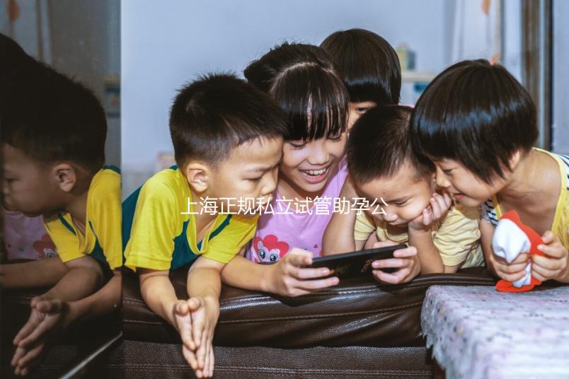 上海正規私立試管助孕公司名單分享，這幾家看放心選擇