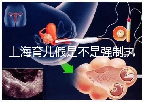 上海育兒假是不是強制執(zhí)行已明確，2024虹口區(qū)何時執(zhí)行戳