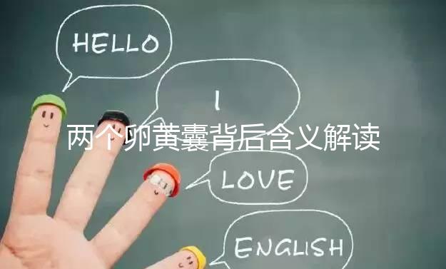 兩個卵黃囊背后含義解讀：雙胞胎、龍鳳胎都有可能！