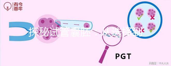 探秘試管囊胚：從選擇到期待的奇跡之旅