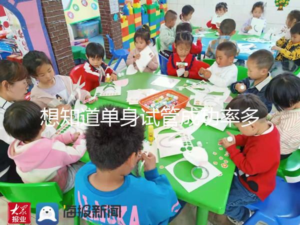 想知道單身試管成功率多少看這,過(guò)來(lái)人真實(shí)案例揭秘真相